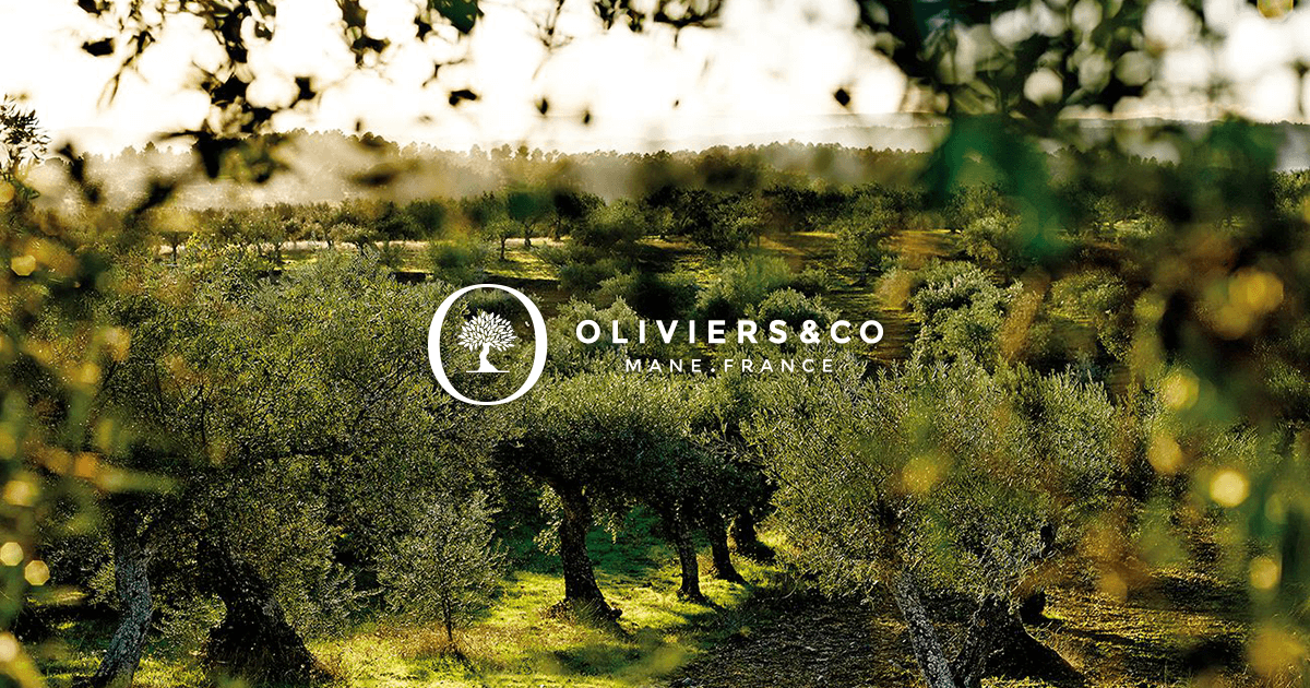 地中海各国の最高品質エキストラバージンオリーブオイル2021 第1弾入荷！ | OLIVIERSCO（オリヴィエ・アンド・コー）